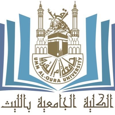 الكلية الجامعية بالليث