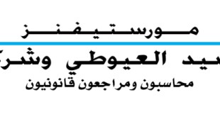 شركة السيد العيوطي