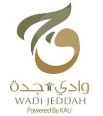 شركة وادي جدة
