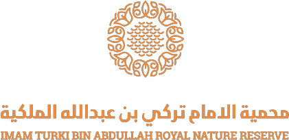 محمية الامام تركي بن عبدالله