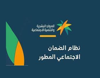 الضمان المطور